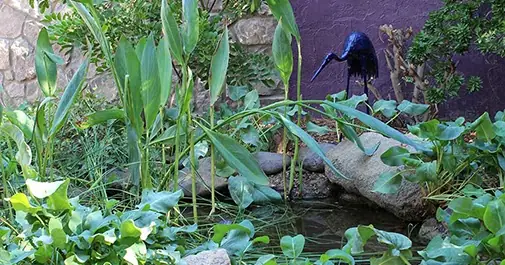 Tour De Bird 2016 - Birding Without Barriers