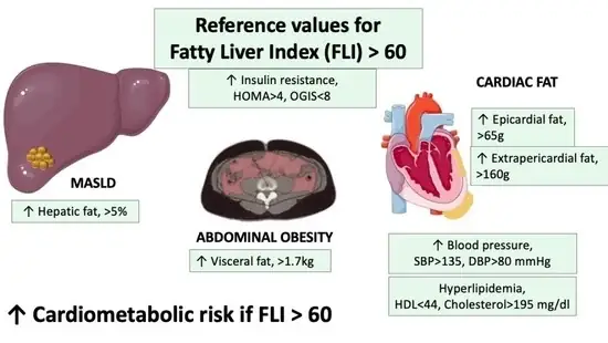 Hướng Dẫn Tải Và Cài Đặt Virtual Dj Pro 8 Full Crack Chi Tiết