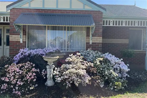 Ký Sinh Trùng 2019 Thuyết Minh - Tải Phim Full Hd, Link Dự Phòng, Chất Lượng Cao