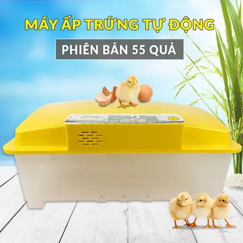 Máy Ấp Trứng Gà Mini Ánh Dương Tốt Nhất 2023 - Giảm Giá ...