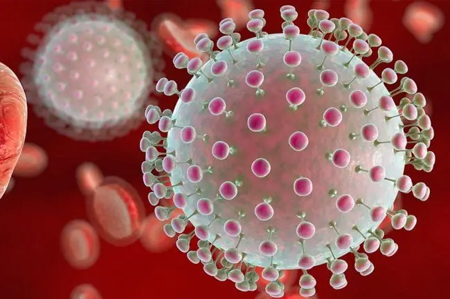 Xét Nghiệm Pcr Đo Tải Lượng Virus Viêm Gan B Có Ý Nghĩa Gì? | Vinmec