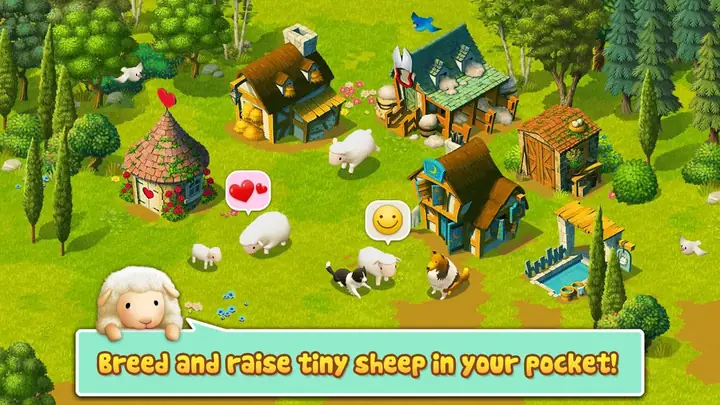 13tiny Sheep