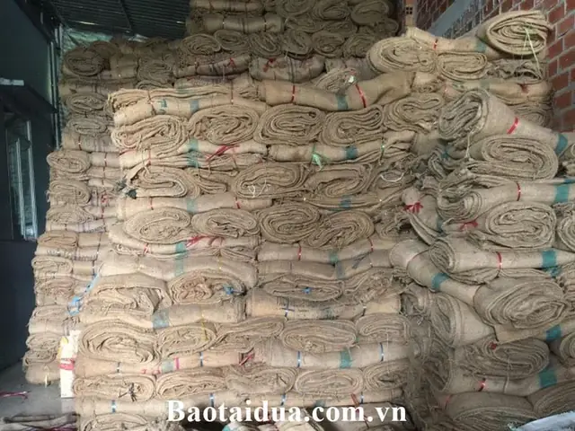 Công Ty Sản Xuất Bao Tải Đay (gai) – Bao Tải Dứa Nt – 0913 192 113 Công Ty Sản Xuất Bao Tải Đay (gai) – Bao Tải Dứa Nt – 0913 192 113