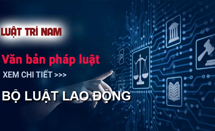 Bộ Luật Lao Động Mới Nhất 2024 Số 45/2019/qh14