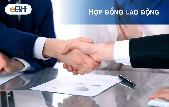 Hợp Đồng Lao Động Chuẩn Theo Bộ Luật Lao Động Mới Nhất