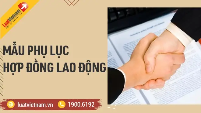 Mẫu Phụ Lục Hợp Đồng Lao Động Và Một Số Lưu Ý