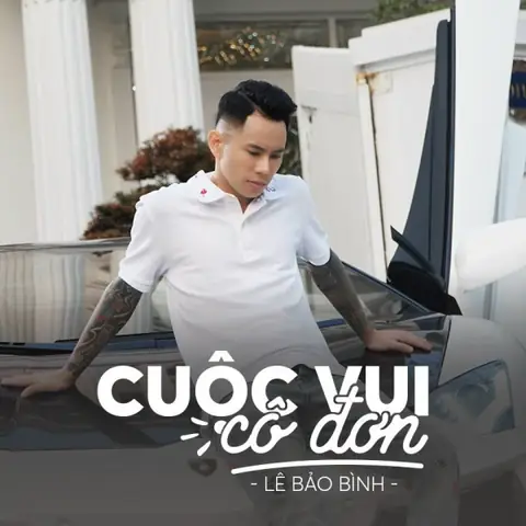 Cuộc Vui Cô Đơn (lê Bảo Bình) - Lời Bài Hát, Tải Nhạc Zing Mp3