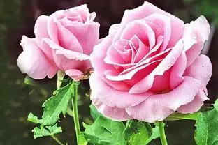 Xbox 360 Controller Emulator